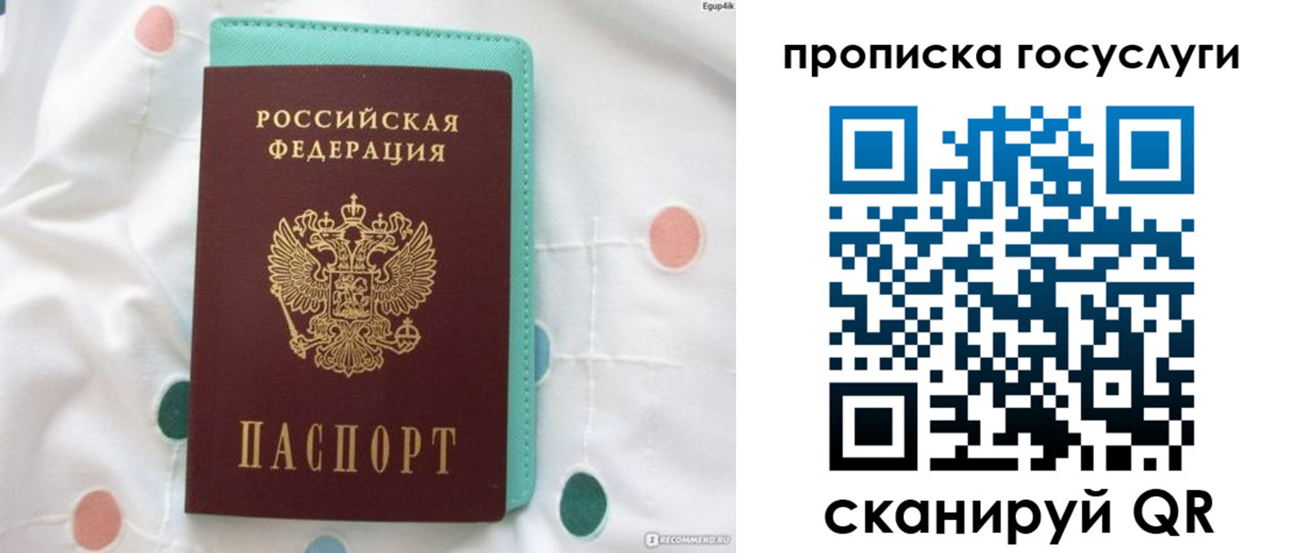 прописка поиск в Чкаловске